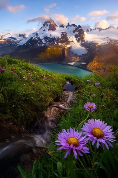 Божественная природа