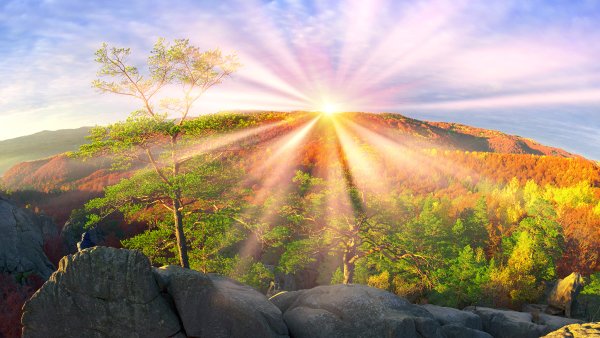 Природа лучи солнца