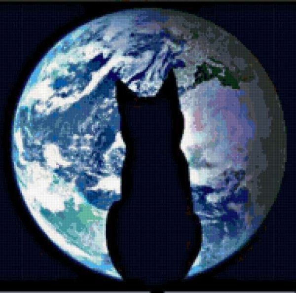 Силуэт кота на фоне космоса