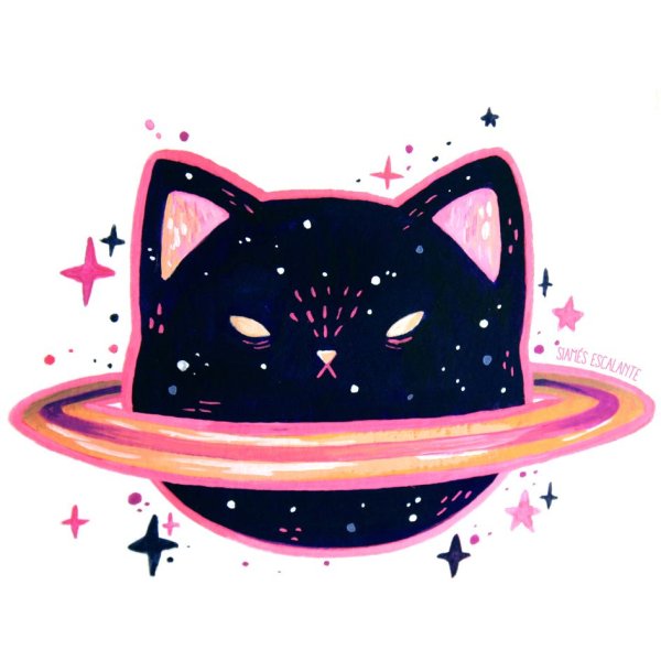 Космо котики