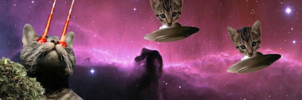 Космические коты
