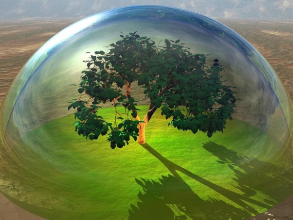 Биосфера земная оболочка