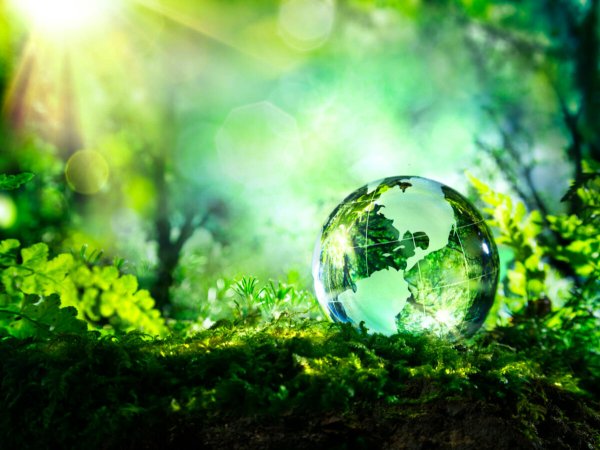 Природа экология