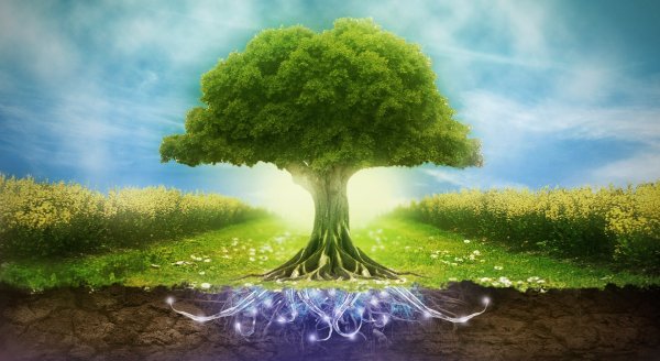 Природа экология