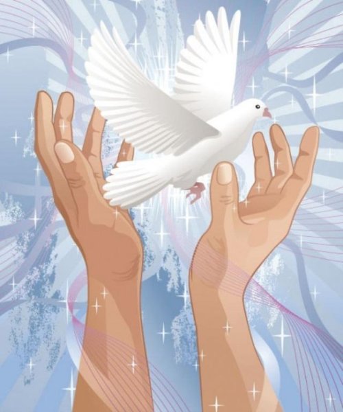 Голубь мира