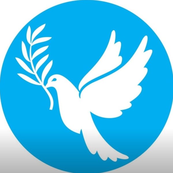 Голубь символ мира