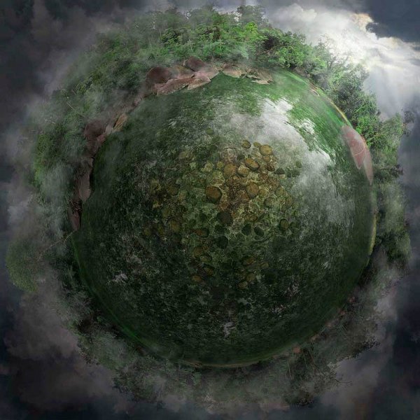 Кэтрин Нельсон картины