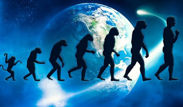 Человеческая цивилизация