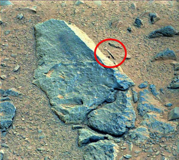 Скотт Уоринг пирамида