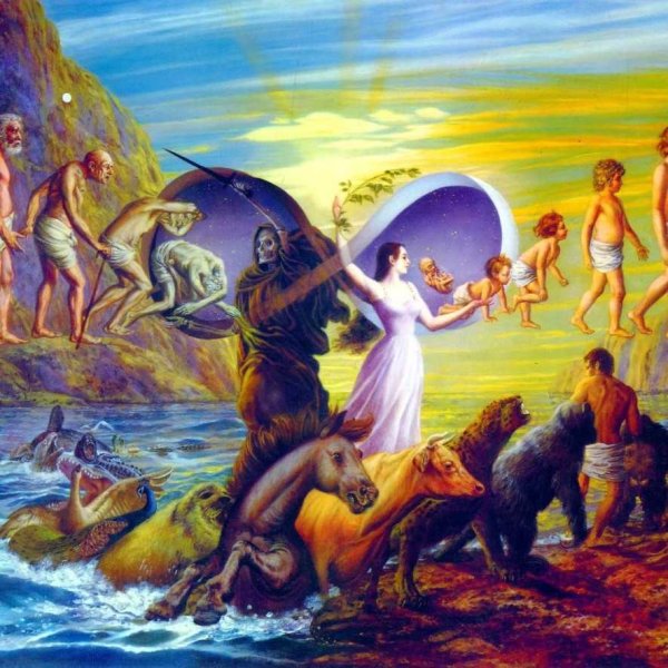 Сансара Перерождение реинкарнация