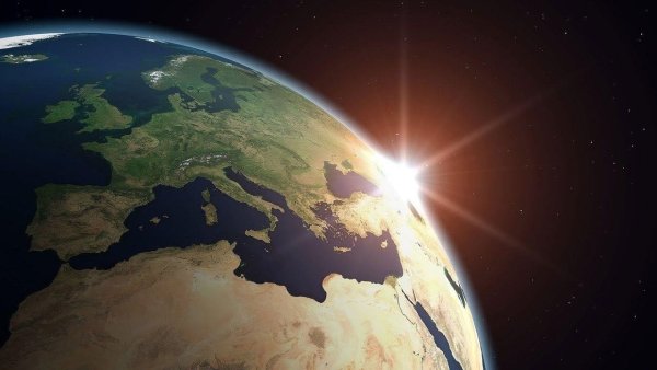 Многообразие жизни на земле