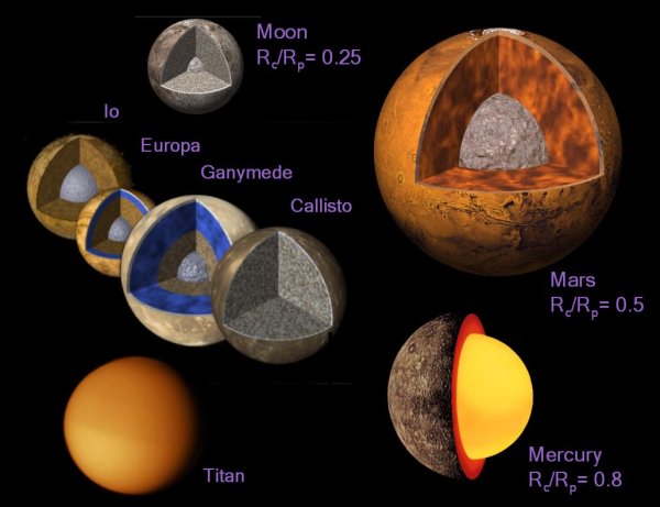 Внутреннее строение Меркурия Венеры земли и Марса
