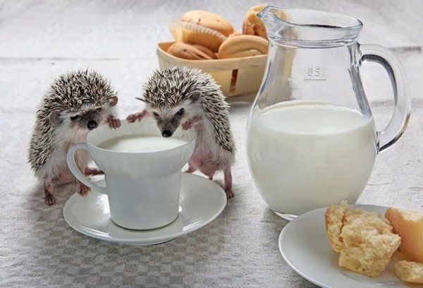 Доброе утро хорошего настроения