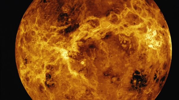 Венера Планета