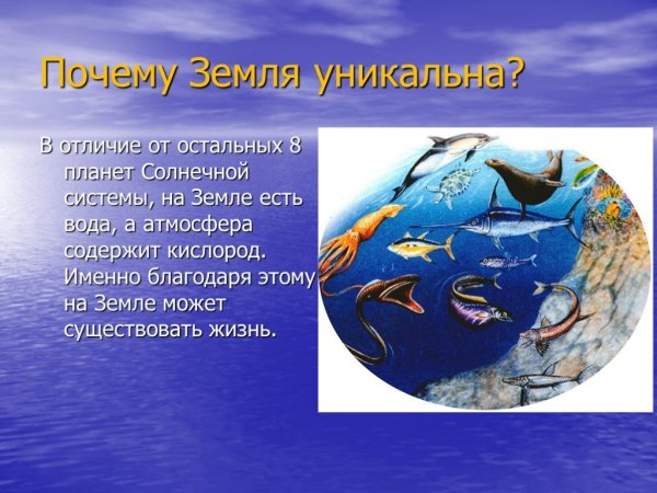 Земля для презентации