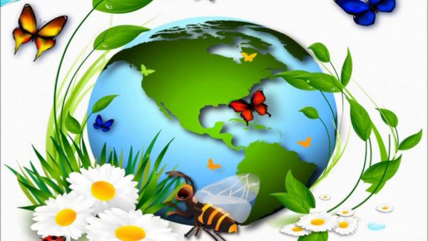 Детям об экологии