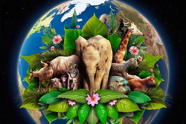 Животный мир нашей планеты