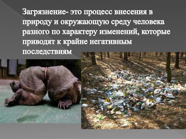 Последствия загрязнения природы