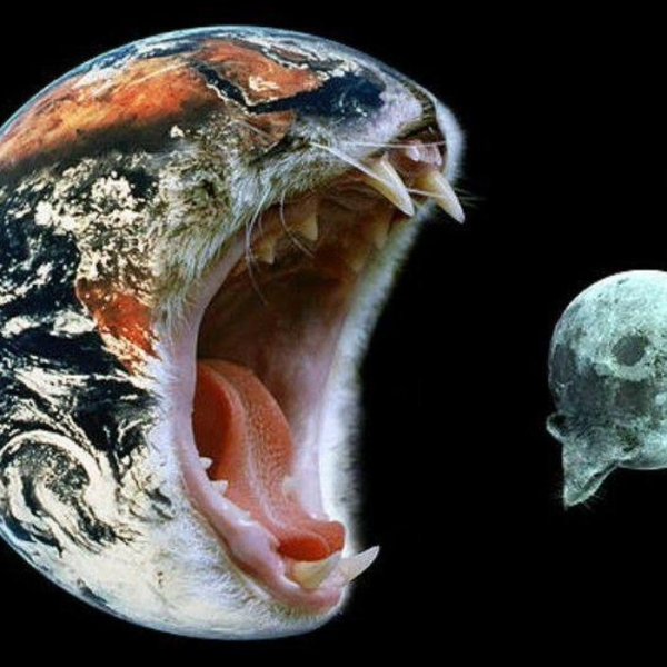 Тупик эволюции