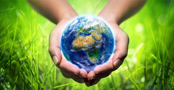 Экология в руке земной шар