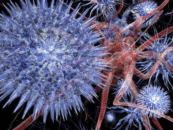 Вирус группа под микроскопом