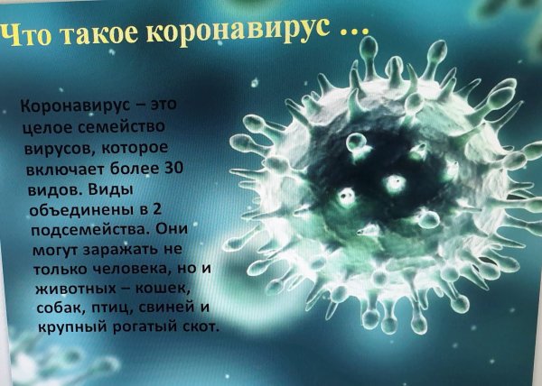 Вирус в организме