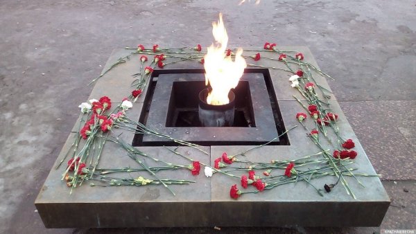 Вечный огонь Ленинград Марсово поле