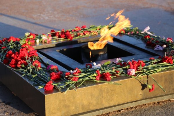 Вечный огонь на Марсовом поле в Санкт-Петербурге