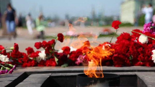 Вечный огонь Марсово поле цветы