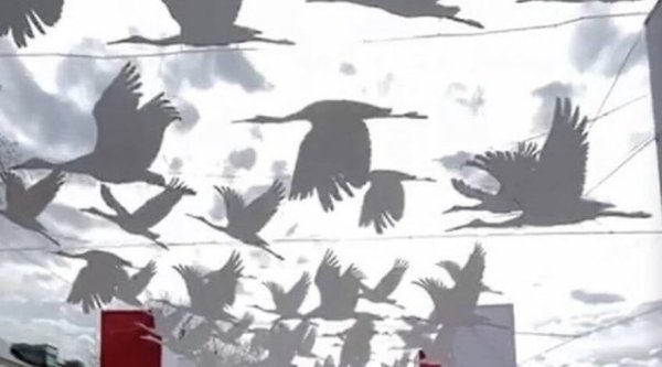 Белые Журавли 9 мая