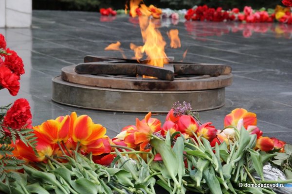 Тюльпаны у вечного огня