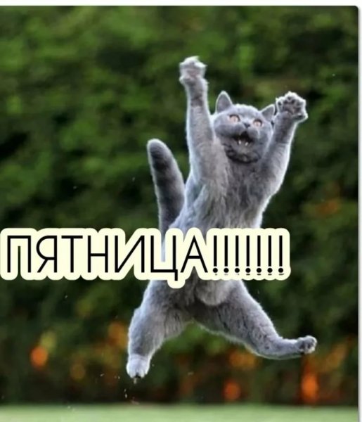 Сегодня пятница