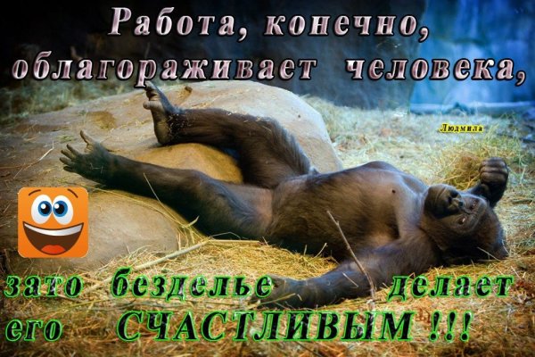 Пятница отдых