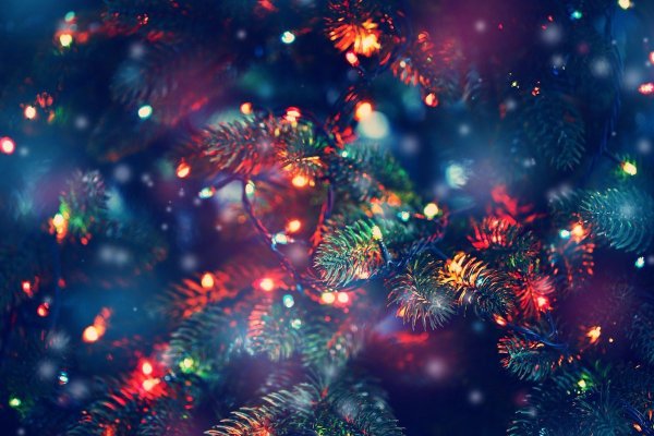 Ель с огоньками