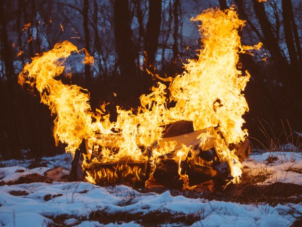 Огонь зимой в лесу