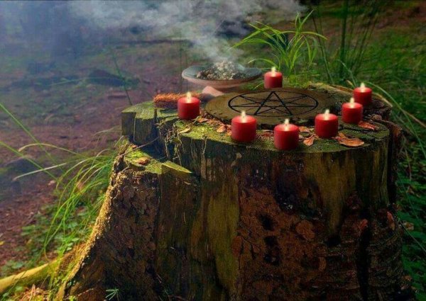 Алтарь в лесу