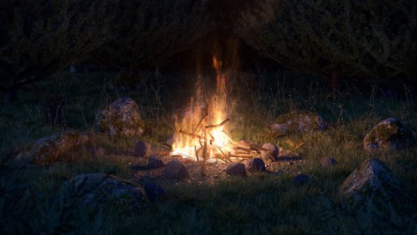 Костер в лесу