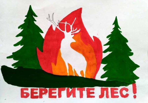 Берегите лес