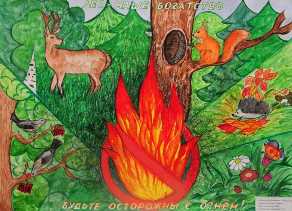 Берегите лес от пожара рисунки