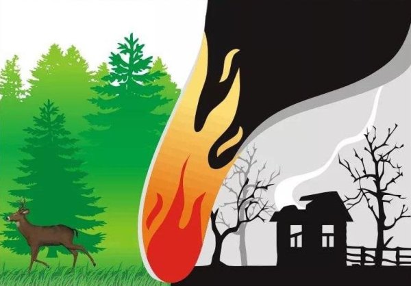 Берегите Лас от пожара