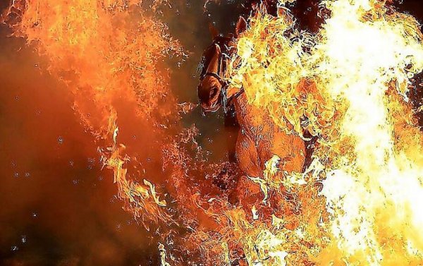 Очищение огнем Дришти