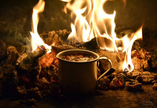 Чайные церемонии у костра