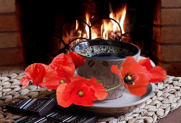 Уютного вечера с цветами