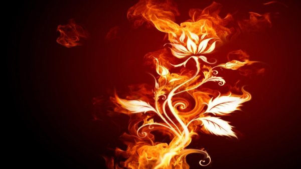 Красивый огонь