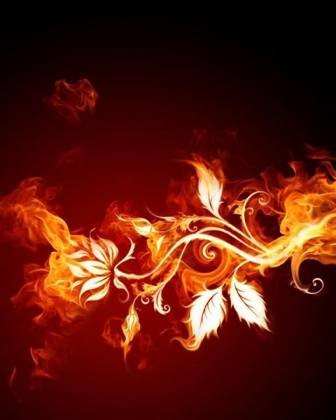 Красные узоры огня