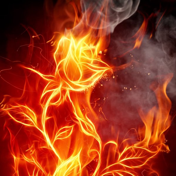 Огненный Стрелец