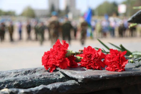 Воины интернационалисты гвоздики