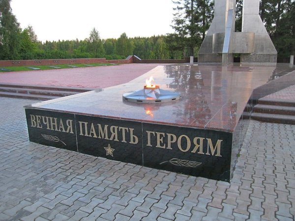 Вечный огонь Мирный Архангельская область