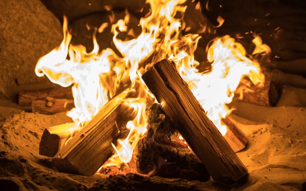 Дрова для костра