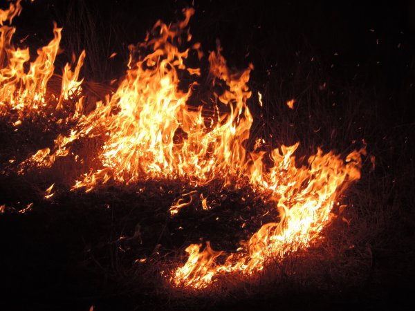 Пламя костра
